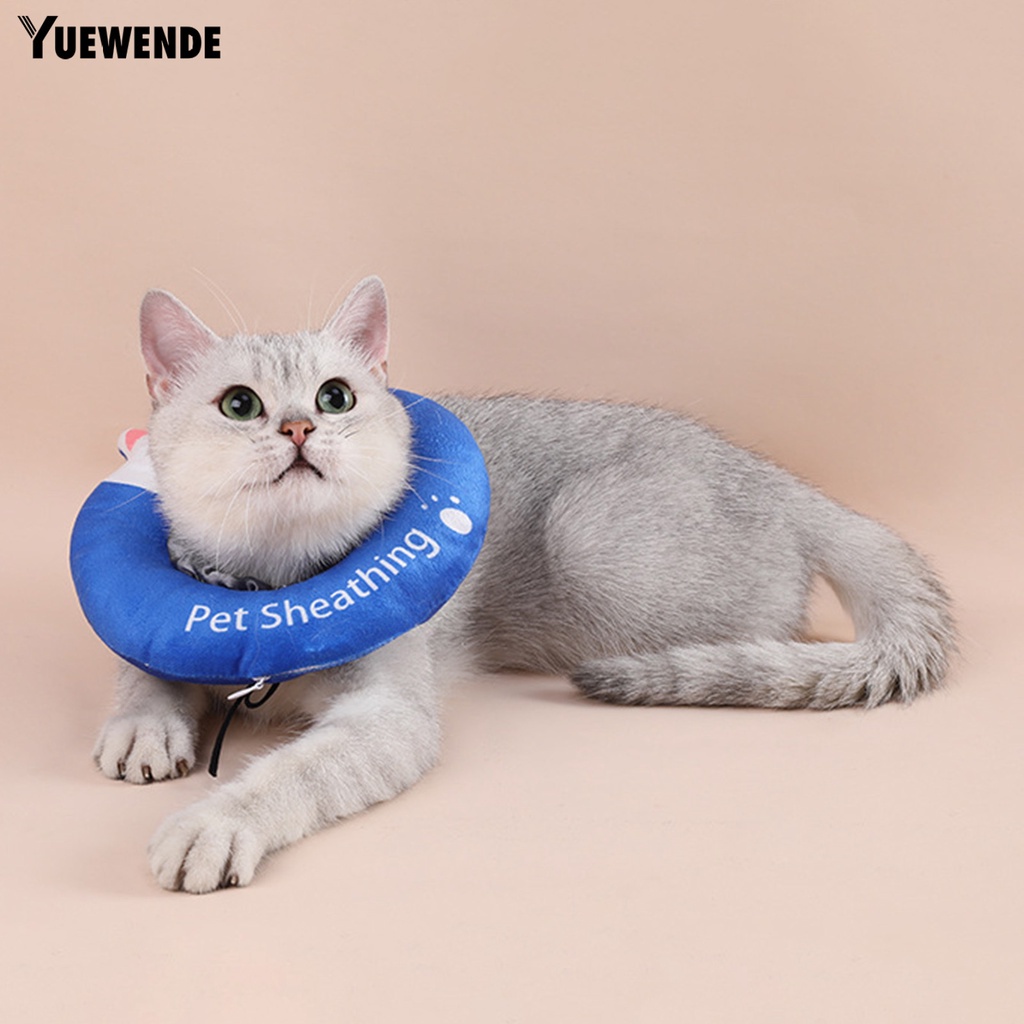 Vòng Đeo Cổ Hình Nón Họa Tiết Hoạt Hình Màu Sắc Tươi Sáng Chống Nhấp Nháy Bảo Vệ Sức Khỏe Cho Mèo Cưng YR.T