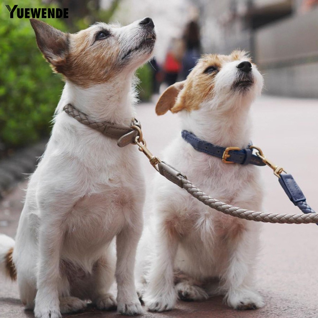 Vòng Cổ Bằng Da Giả Màu Trơn Chống Mài Mòn Có Thể Điều Chỉnh Thân Thiện Với Da Cún Cưng