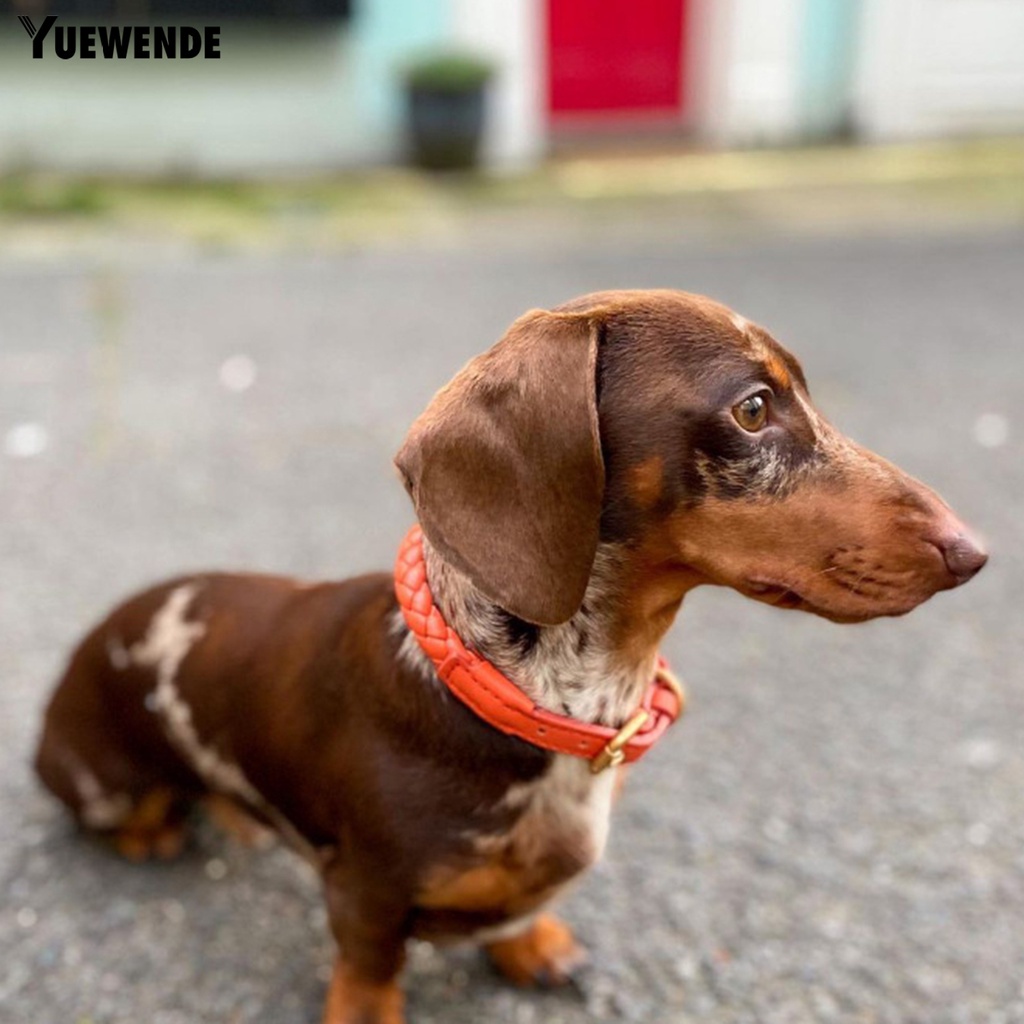 Vòng Cổ Bằng Da Giả Màu Trơn Chống Mài Mòn Có Thể Điều Chỉnh Thân Thiện Với Da Cún Cưng