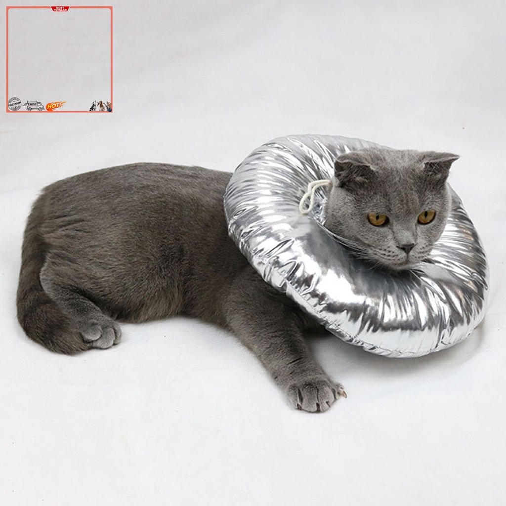 Vòng Cổ Bảo Vệ Chống Cắn Chống Thấm Nước Dành Cho Thú Cưng