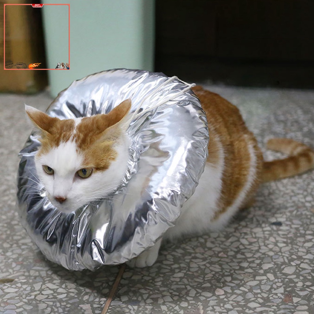 Vòng Cổ Bảo Vệ Chống Cắn Chống Thấm Nước Dành Cho Thú Cưng