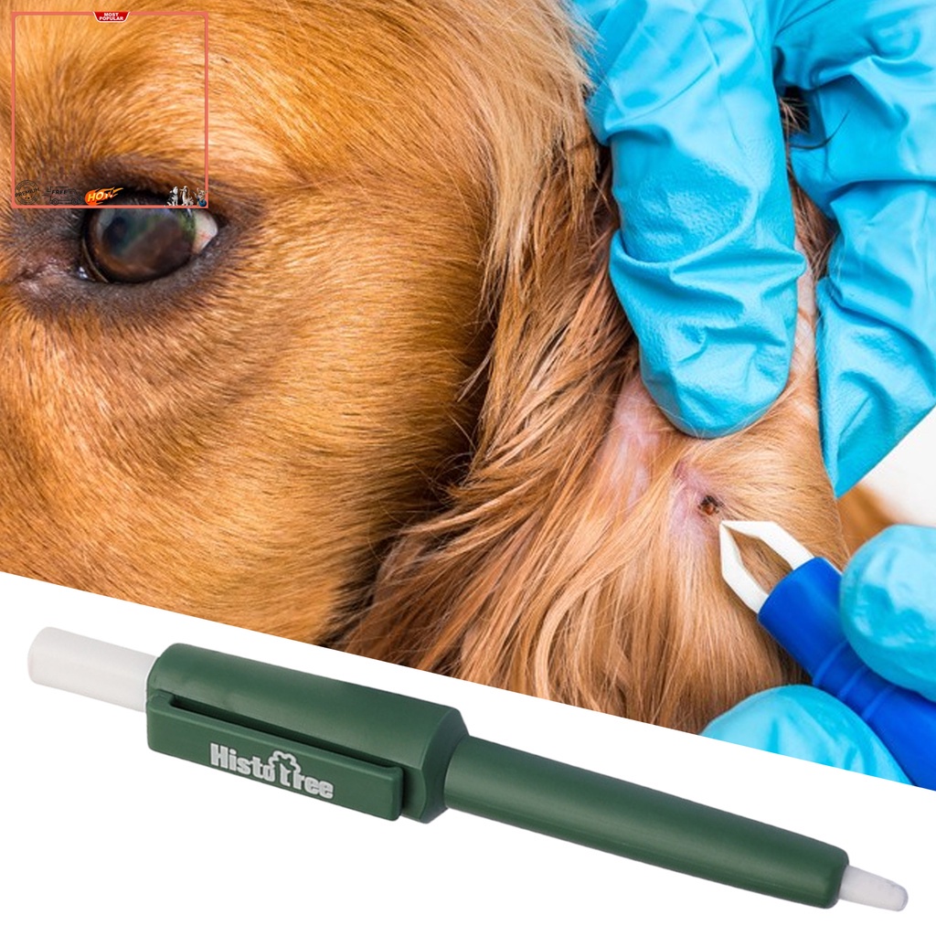 Yr.t Kẹp Bắt Bọ Chét Có Tay Cầm An Toàn Tiện Dụng Loại Bỏ Cặn Đơn Giản Trọng Lượng Nhẹ Cho Cún Cưng