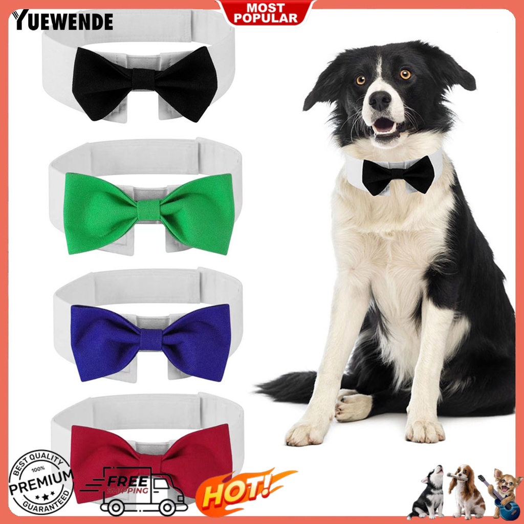 Vòng Cổ Bằng Vải Canvas Mềm Mại Thoải Mái Bắt Mắt Cho Thú Cưng