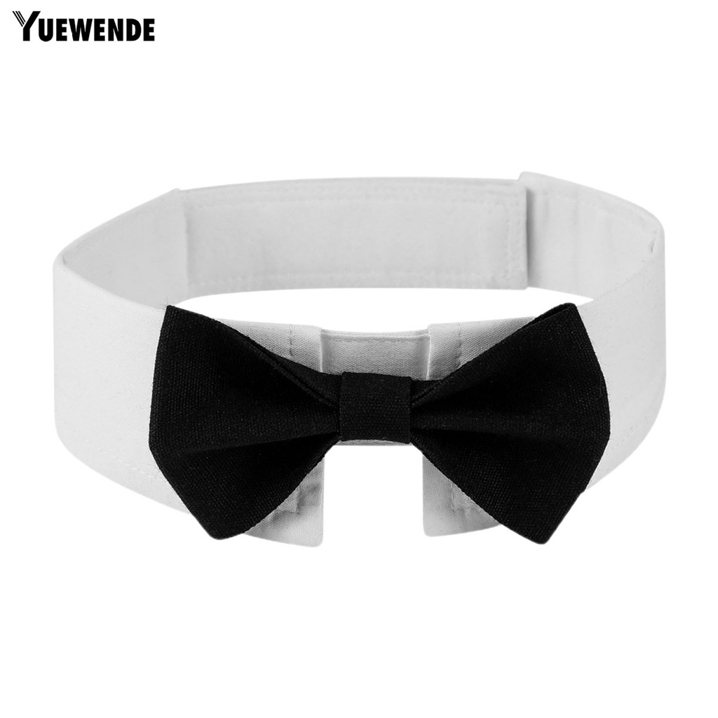 Vòng Cổ Bằng Vải Canvas Mềm Mại Thoải Mái Bắt Mắt Cho Thú Cưng