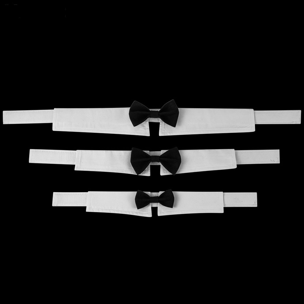 Vòng Cổ Bằng Vải Canvas Mềm Mại Thoải Mái Bắt Mắt Cho Thú Cưng