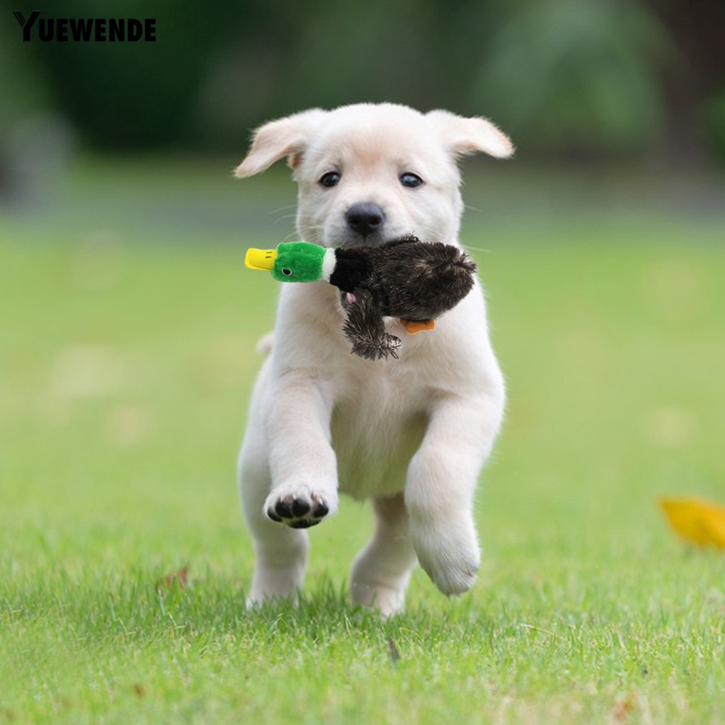 Bộ 2 Vịt Nhồi Bông Có Tiếng Kêu Kiểu Hoạt Hình Cho Thú Cưng