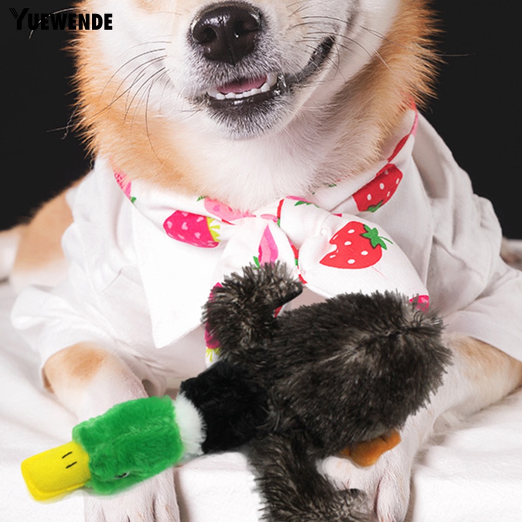 Bộ 2 Vịt Nhồi Bông Có Tiếng Kêu Kiểu Hoạt Hình Cho Thú Cưng