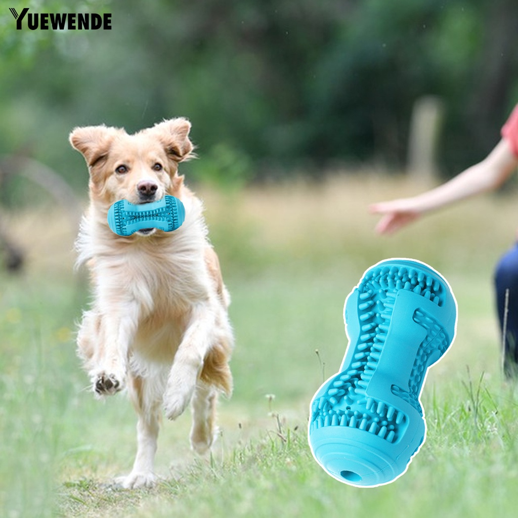 Yr.t Đồ Chơi Ngậm Cắn Chống Trầy Xước Chống Rơi Bền Bỉ Tương Tác Với Thú Cưng