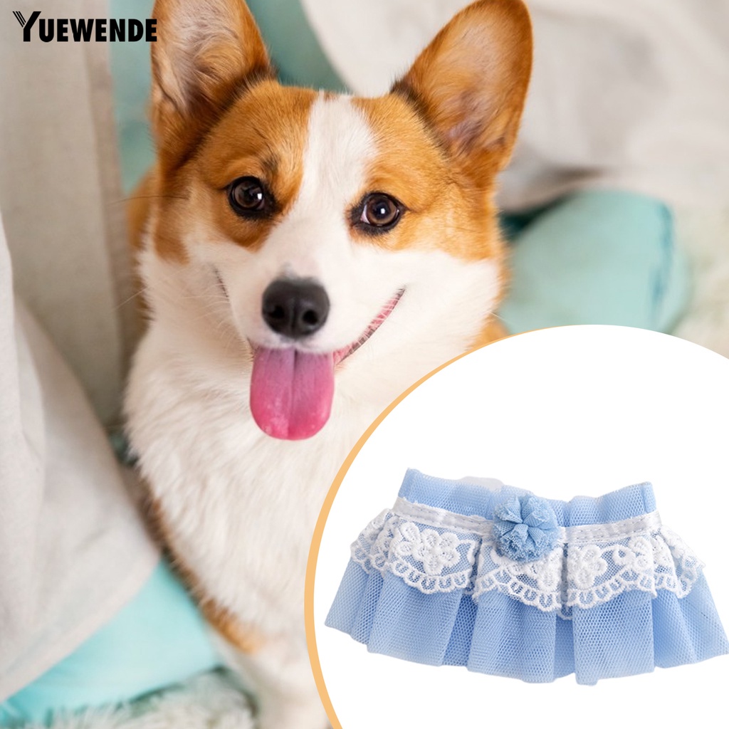 Yr.t Vòng Cổ Siêu Mềm Chống Mài Mòn Phối Lưới Dùng Làm Đạo Cụ Chụp Ảnh Hằng Ngày Cho Thú Cưng