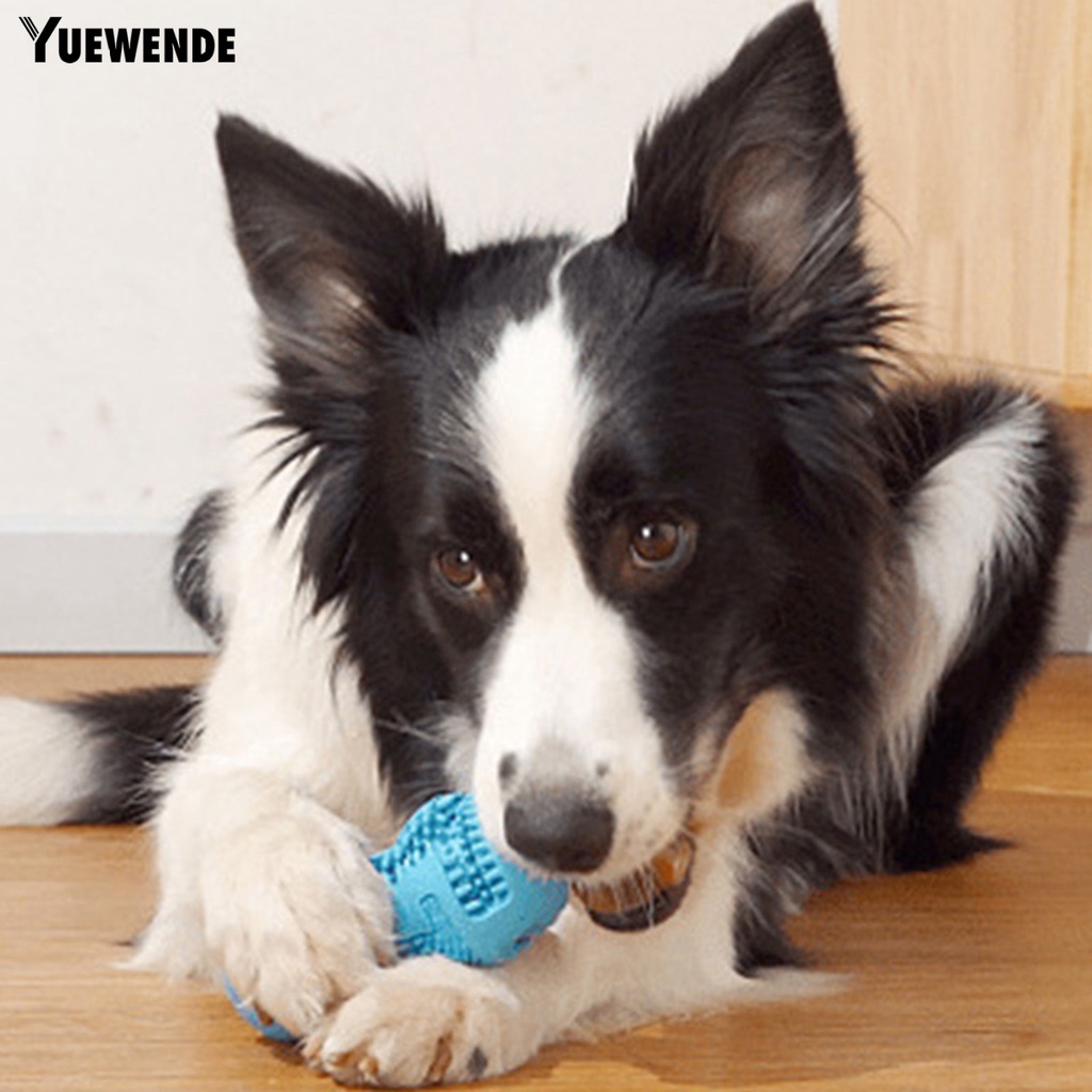 Yr.t Đồ Chơi Ngậm Cắn Chống Trầy Xước Chống Rơi Bền Bỉ Tương Tác Với Thú Cưng