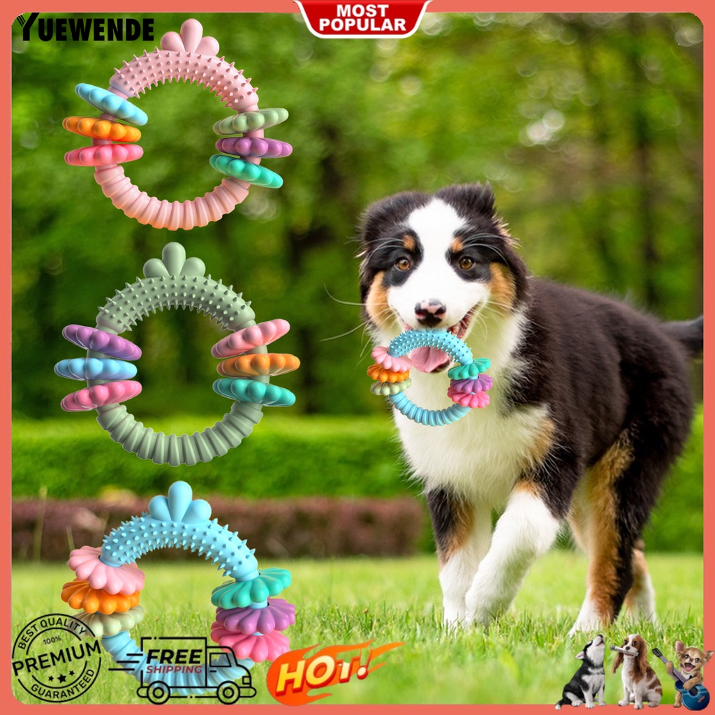 Đồ Chơi Nhai Hình Cà Rốt / Tròn Độc Đáo Giúp Giảm Căng Thẳng Cho Thú Cưng