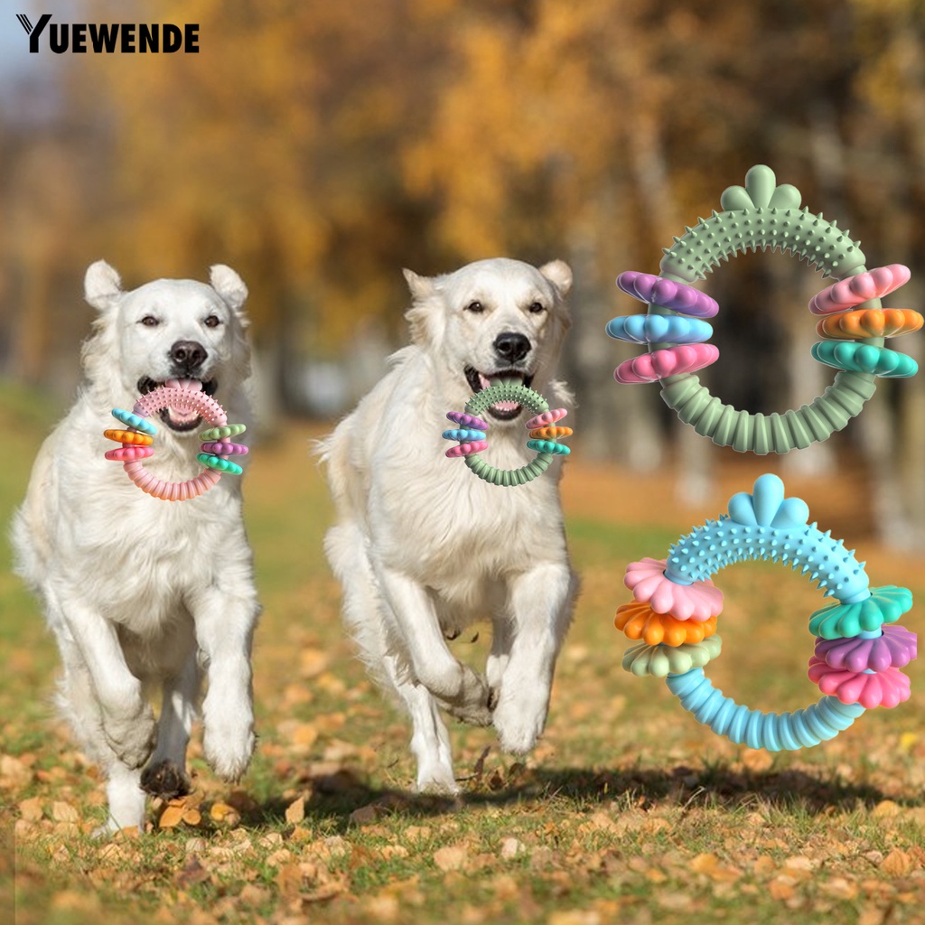 Đồ Chơi Nhai Hình Cà Rốt / Tròn Độc Đáo Giúp Giảm Căng Thẳng Cho Thú Cưng