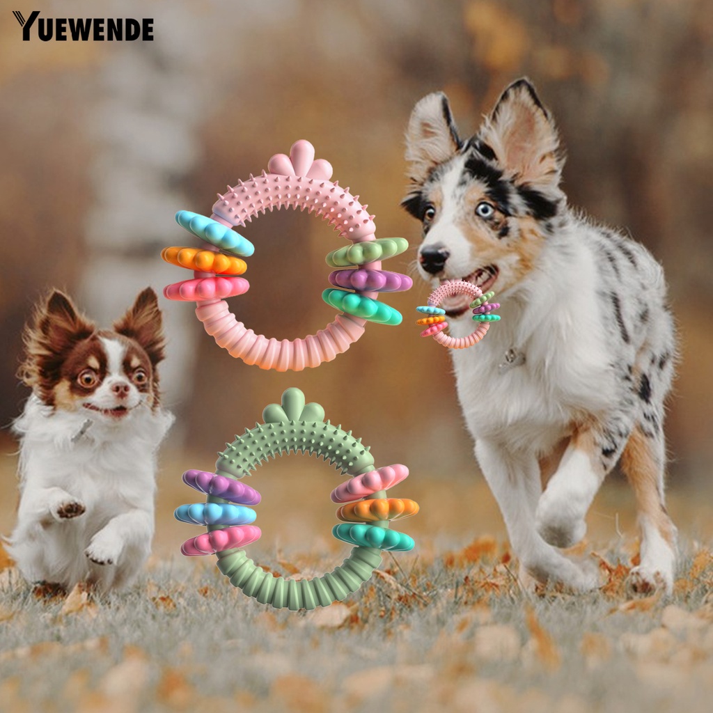 Đồ Chơi Nhai Hình Cà Rốt / Tròn Độc Đáo Giúp Giảm Căng Thẳng Cho Thú Cưng