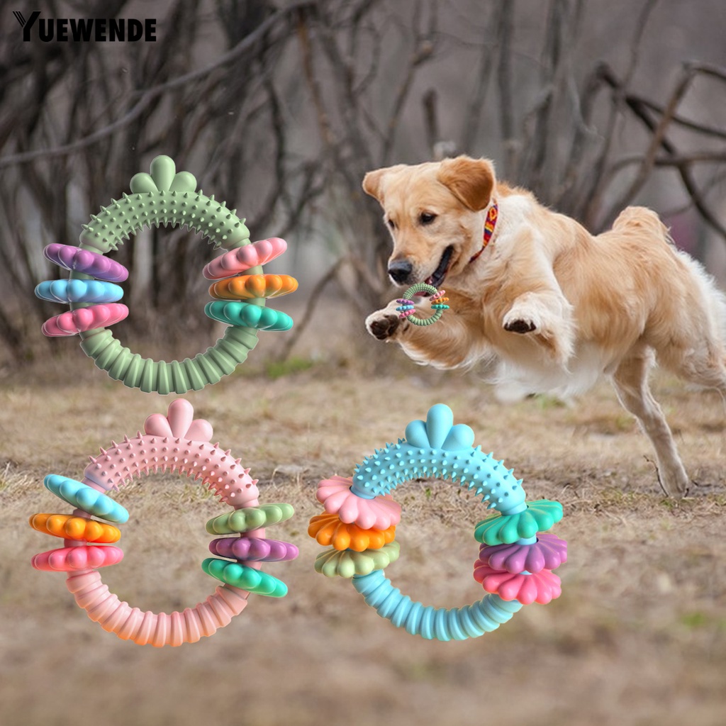 Đồ Chơi Nhai Hình Cà Rốt / Tròn Độc Đáo Giúp Giảm Căng Thẳng Cho Thú Cưng