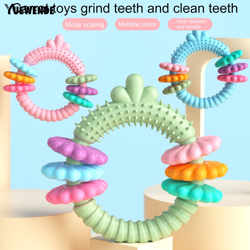 Đồ Chơi Nhai Hình Cà Rốt / Tròn Độc Đáo Giúp Giảm Căng Thẳng Cho Thú Cưng