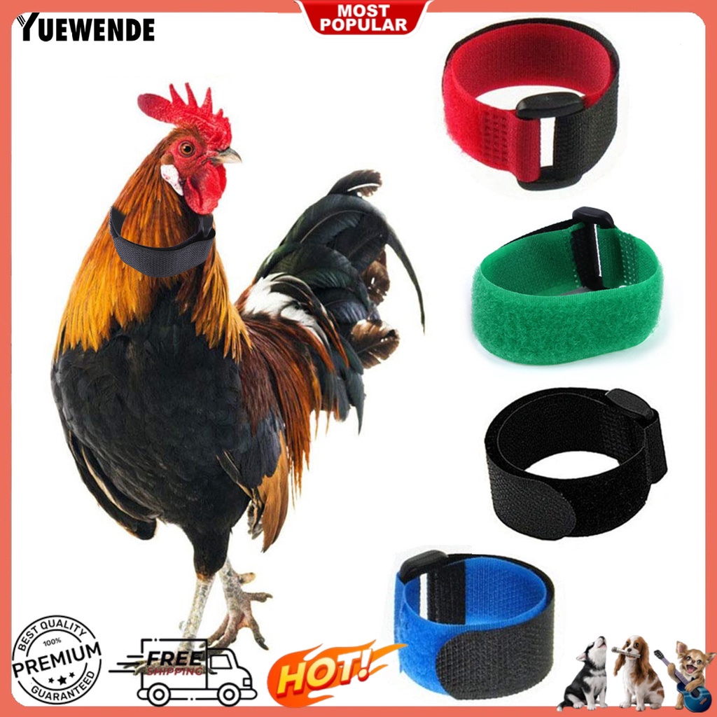 Bộ 2 Vòng Cổ Nylon Siêu Mềm Chống Mòn Chống Mòn Cho Gia Cầm Ngỗng