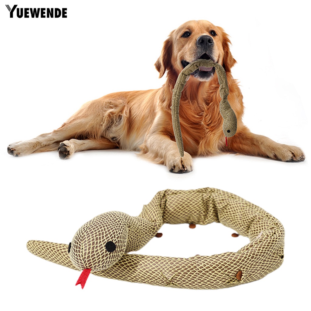 Đồ Chơi Nhai Gặm Tương Tác Với Chó Cưng Giảm Tiếng Kêu Vui Nhộn