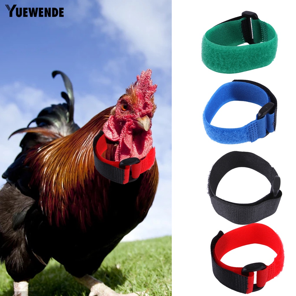 Bộ 2 Vòng Cổ Nylon Siêu Mềm Chống Mòn Chống Mòn Cho Gia Cầm Ngỗng