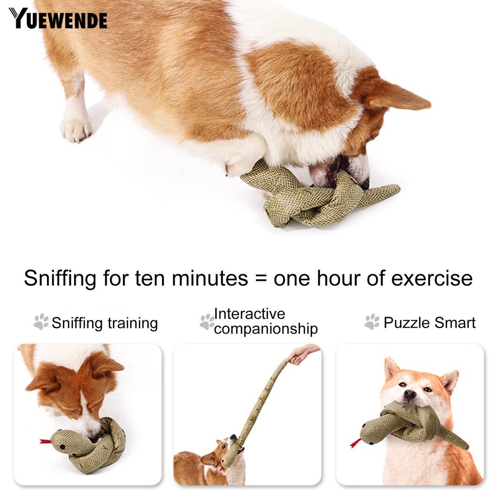 Đồ Chơi Nhai Gặm Tương Tác Với Chó Cưng Giảm Tiếng Kêu Vui Nhộn