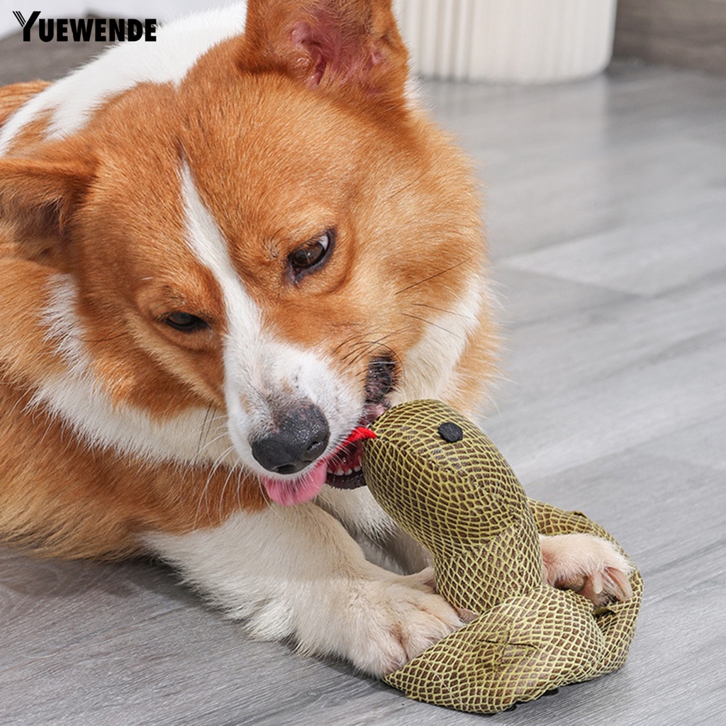 Đồ Chơi Nhai Gặm Tương Tác Với Chó Cưng Giảm Tiếng Kêu Vui Nhộn