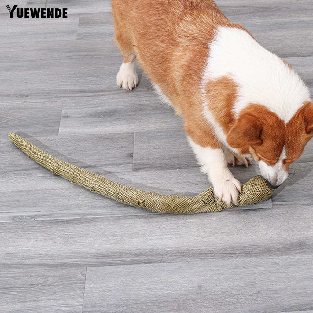 Đồ Chơi Nhai Gặm Tương Tác Với Chó Cưng Giảm Tiếng Kêu Vui Nhộn