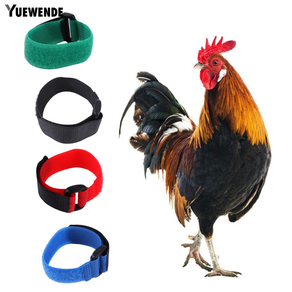 Bộ 2 Vòng Cổ Nylon Siêu Mềm Chống Mòn Chống Mòn Cho Gia Cầm Ngỗng