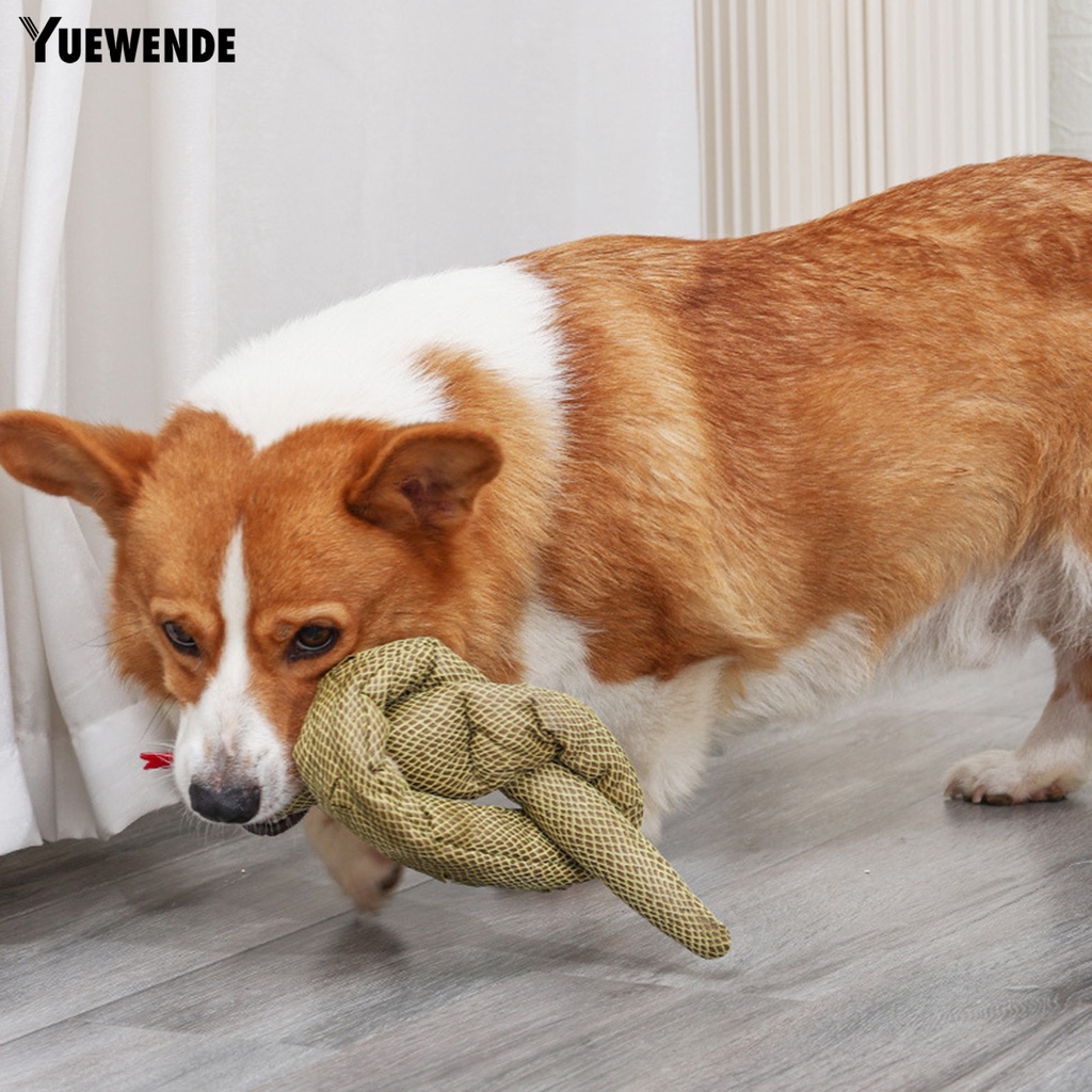 Đồ Chơi Nhai Gặm Tương Tác Với Chó Cưng Giảm Tiếng Kêu Vui Nhộn