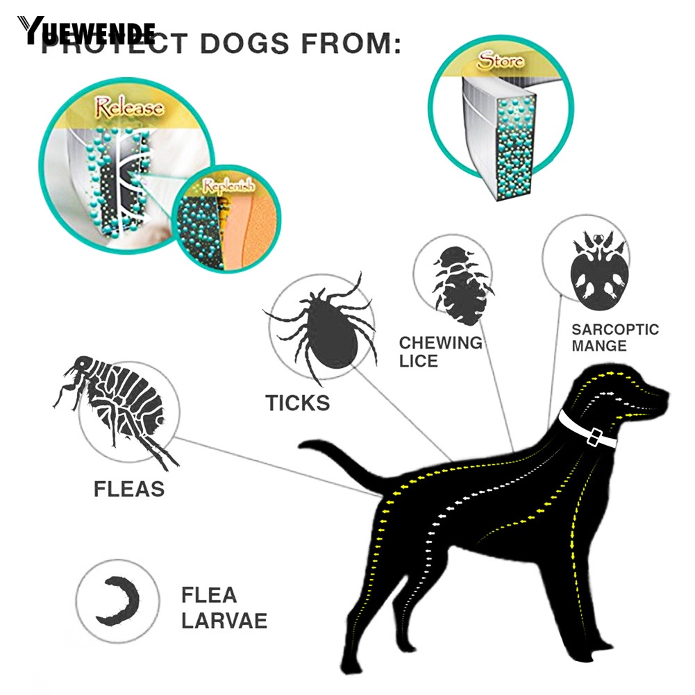 Vòng Cổ Chống Bọ Chét / Côn Trùng Không Thấm Nước Có Thể Điều Chỉnh Được Cho Thú Cưng