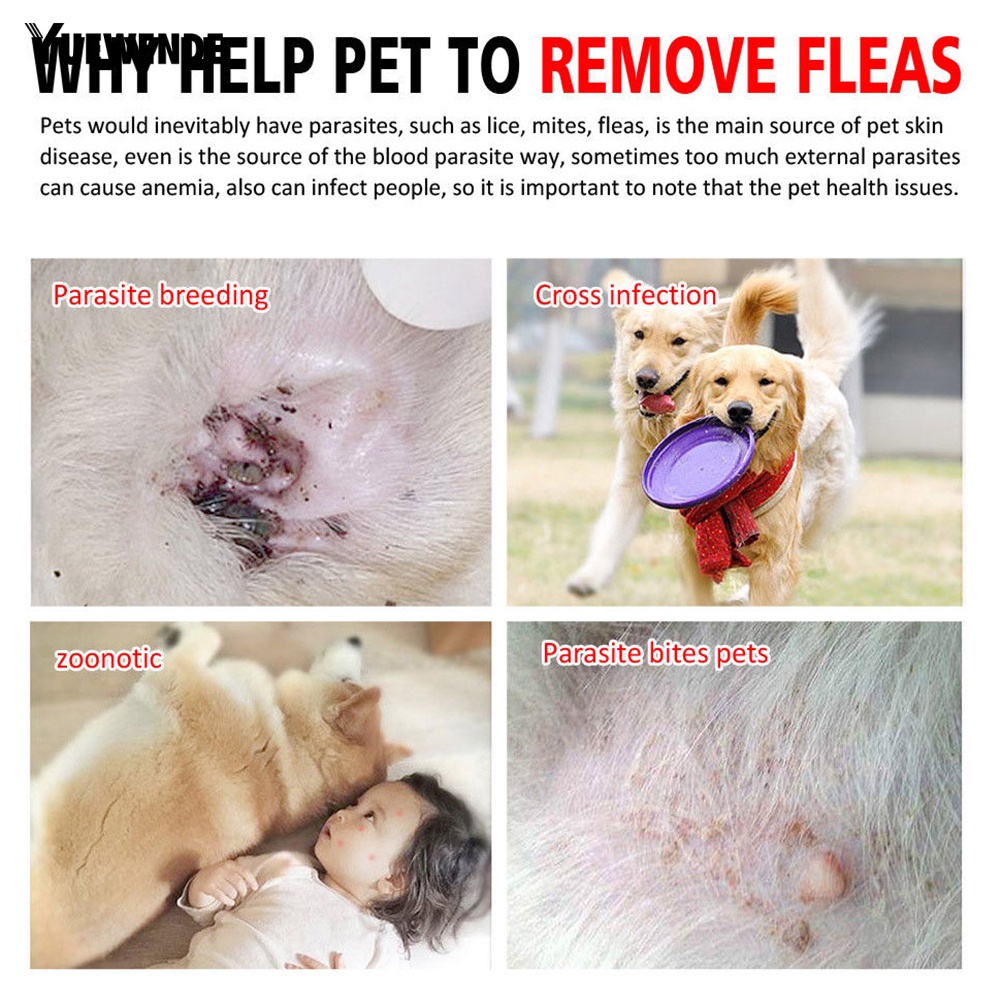 Vòng Cổ Chống Bọ Chét / Côn Trùng Không Thấm Nước Có Thể Điều Chỉnh Được Cho Thú Cưng