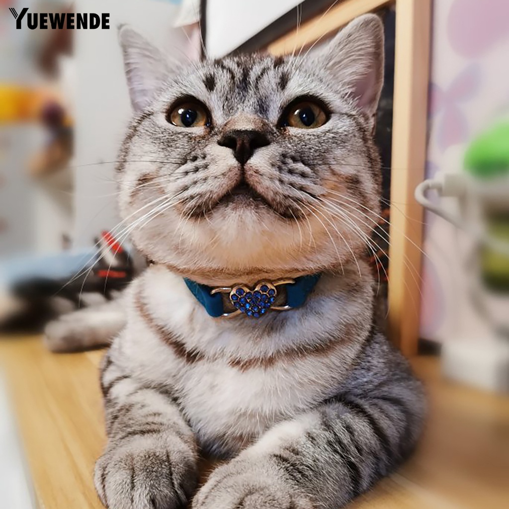 Vòng Cổ Nhiều Màu Sắc Thân Thiện Với Da An Toàn Dành Cho Thú Cưng