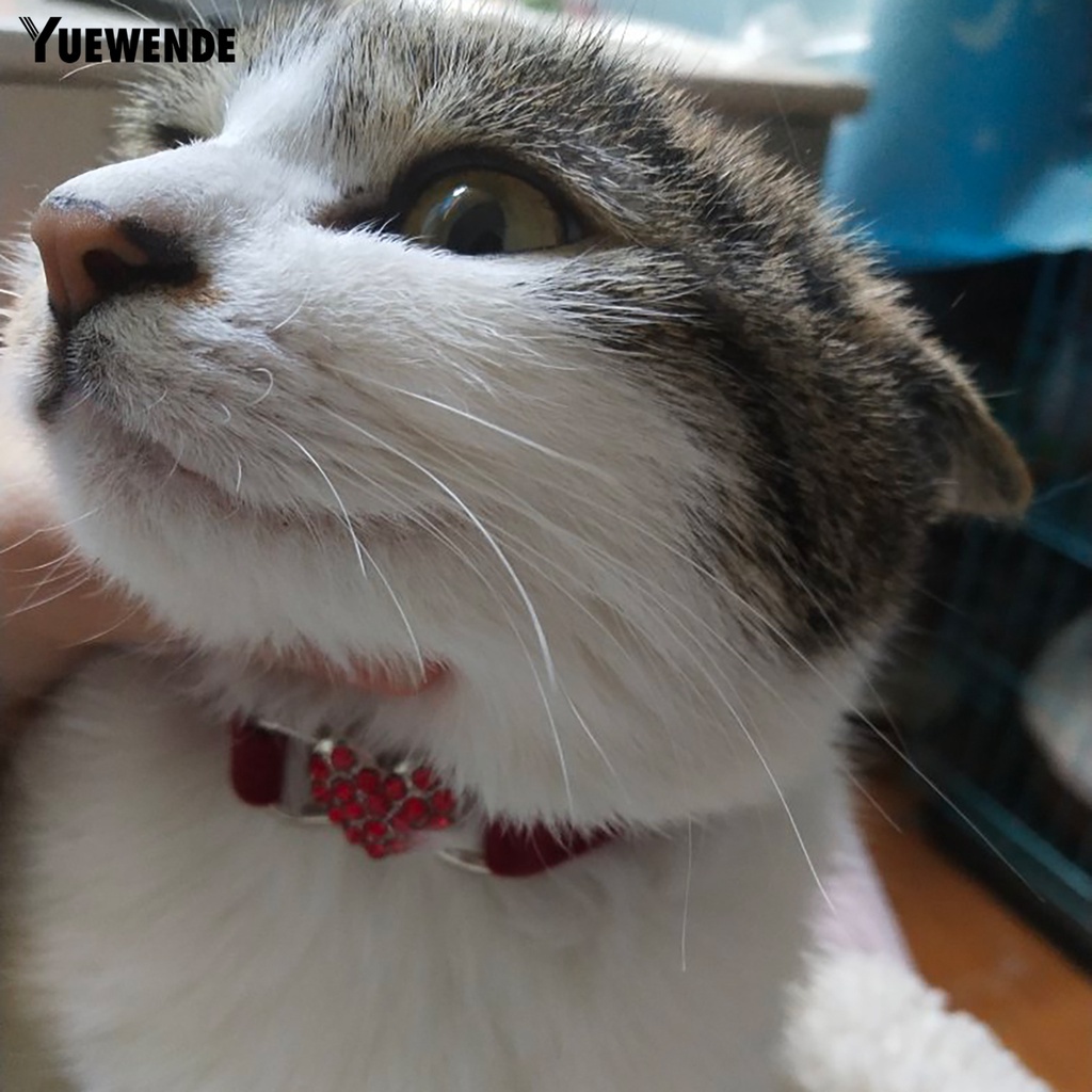 Vòng Cổ Nhiều Màu Sắc Thân Thiện Với Da An Toàn Dành Cho Thú Cưng