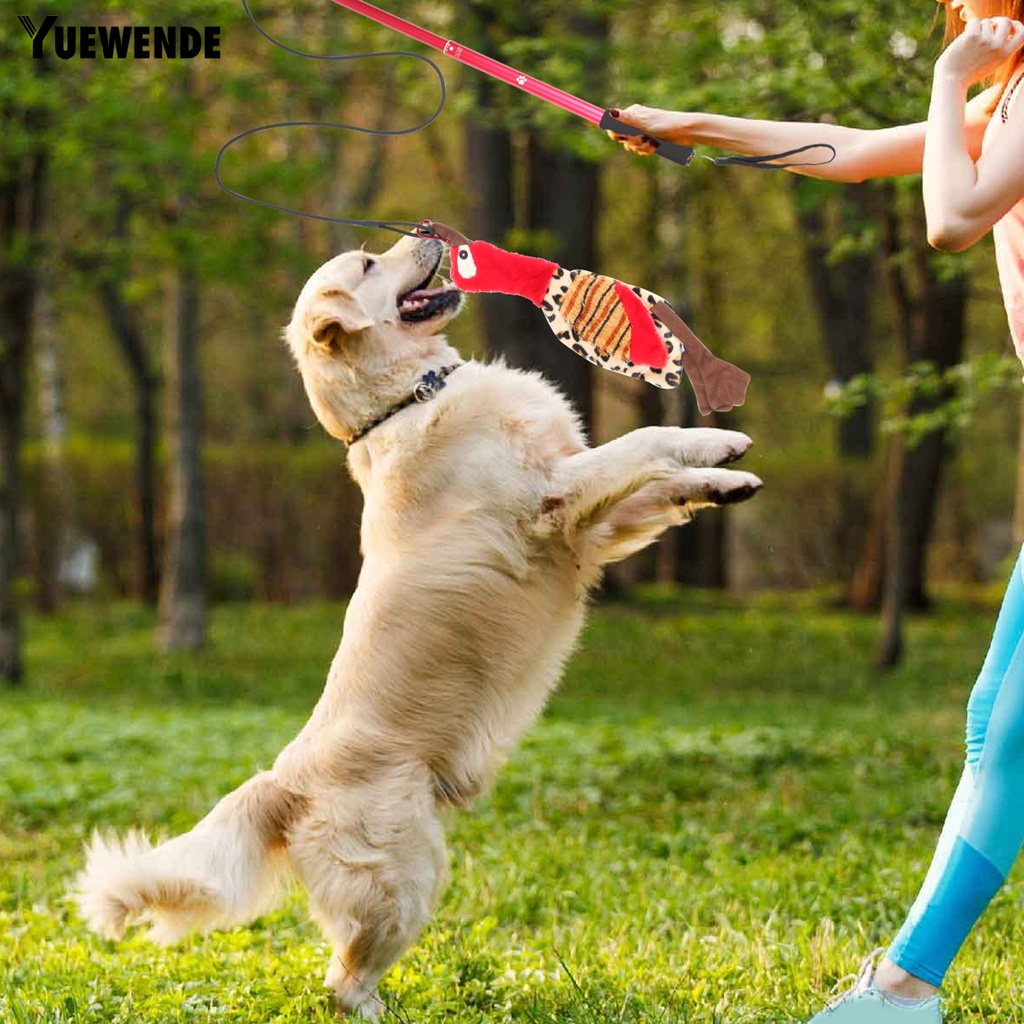 1 Bộ Gậy Huấn Luyện Thú Cưng Co Giãn Chống Trượt Chịu Được Sức Nặng