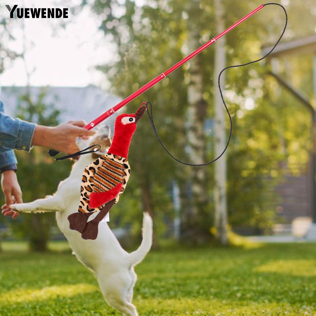 1 Bộ Gậy Huấn Luyện Thú Cưng Co Giãn Chống Trượt Chịu Được Sức Nặng