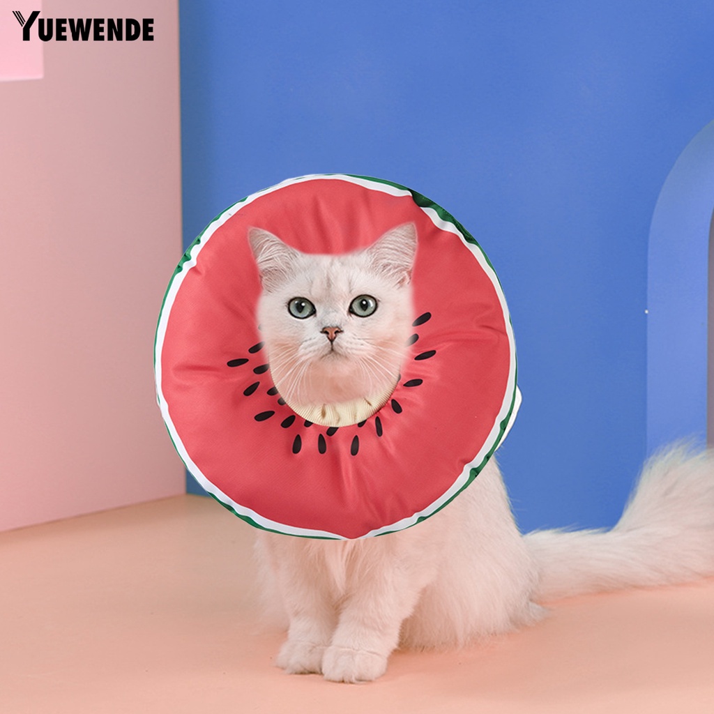 Vòng Cổ Dây Rút Họa Tiết Quả Cam Bảo Vệ Cho Thú Cưng