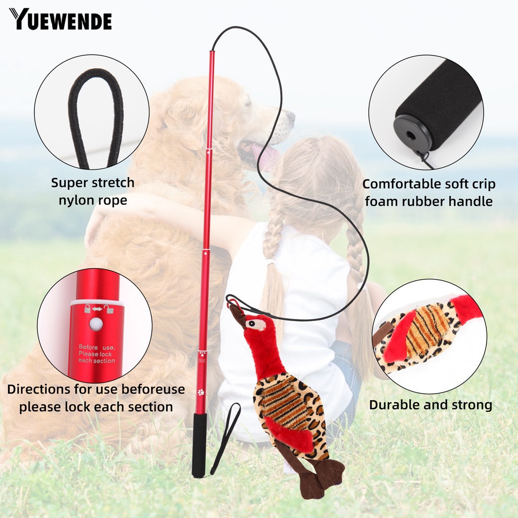 1 Bộ Gậy Huấn Luyện Thú Cưng Co Giãn Chống Trượt Chịu Được Sức Nặng