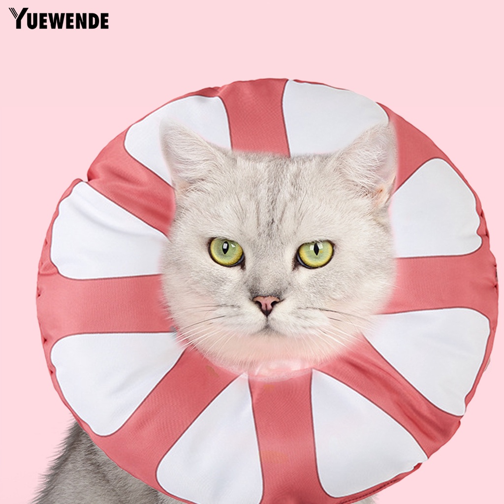 Vòng Cổ Dây Rút Họa Tiết Quả Cam Bảo Vệ Cho Thú Cưng