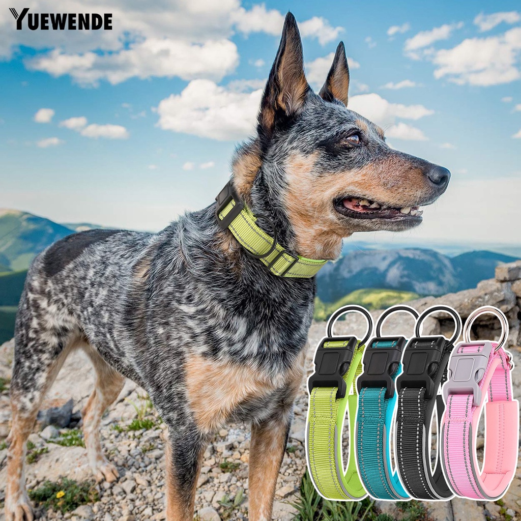 Vòng Cổ Phản Quang Chống Cắn Thoáng Khí An Toàn Dành Cho Thú Cưng