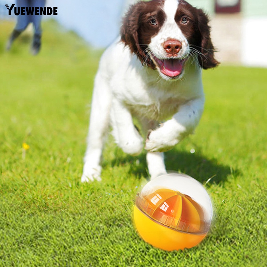 Bóng Đồ Chơi Bằng Nhựa Phát Ra Âm Thanh Vui Nhộn Dành Cho Thú Cưng
