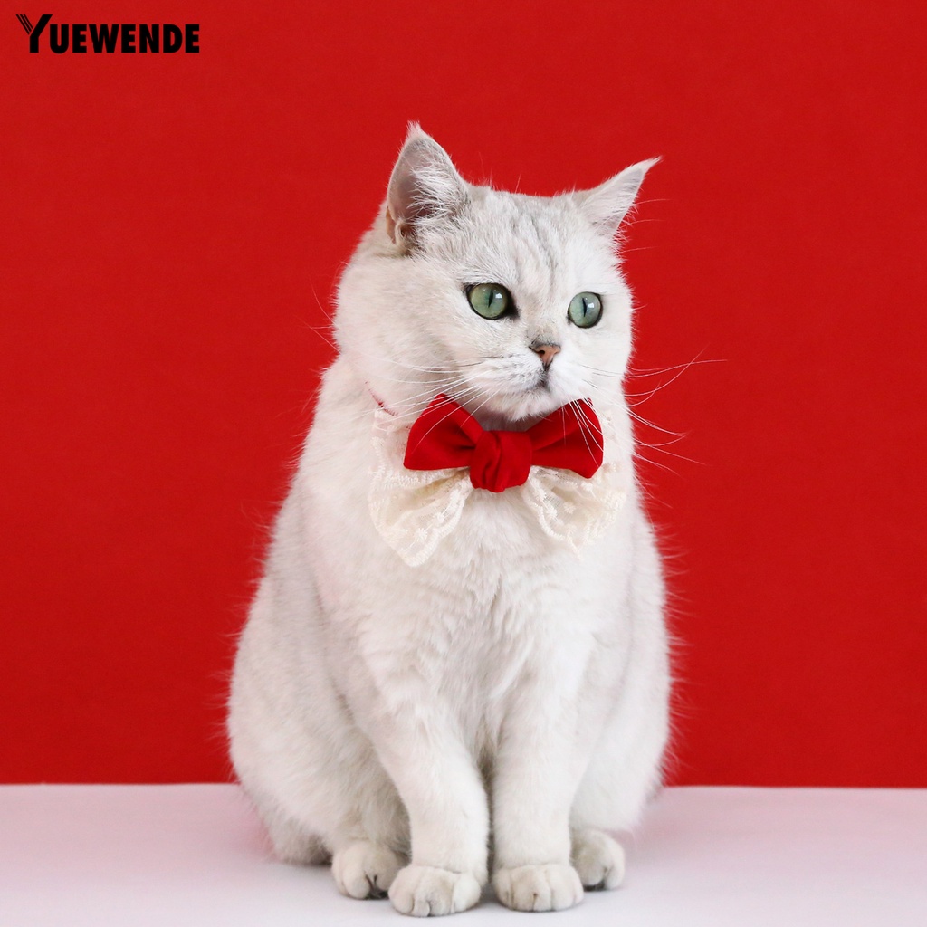 Vòng Cổ Bằng Vải Nhung Có Khóa Cài Thắt Nơ Chống Cắn Có Thể Điều Chỉnh Thoải Mái Dành Cho Thú Cưng Nhỏ