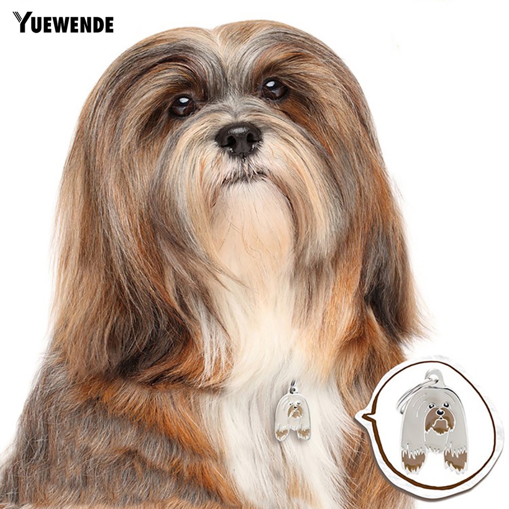 Móc Khóa Gắn Thẻ Tên Chống Thất Lạc Cho Thú Cưng