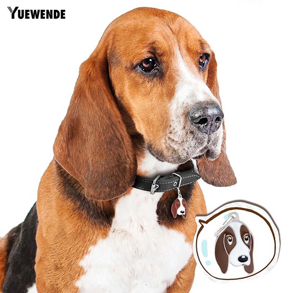 Móc Khóa Gắn Thẻ Tên Chống Thất Lạc Cho Thú Cưng