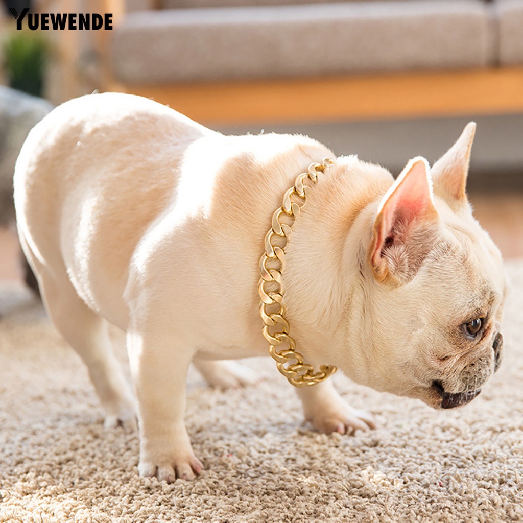 Vòng Cổ Thú Cưng Bằng Nhựa Thiết Kế Điều Chỉnh Được Tiện Dụng