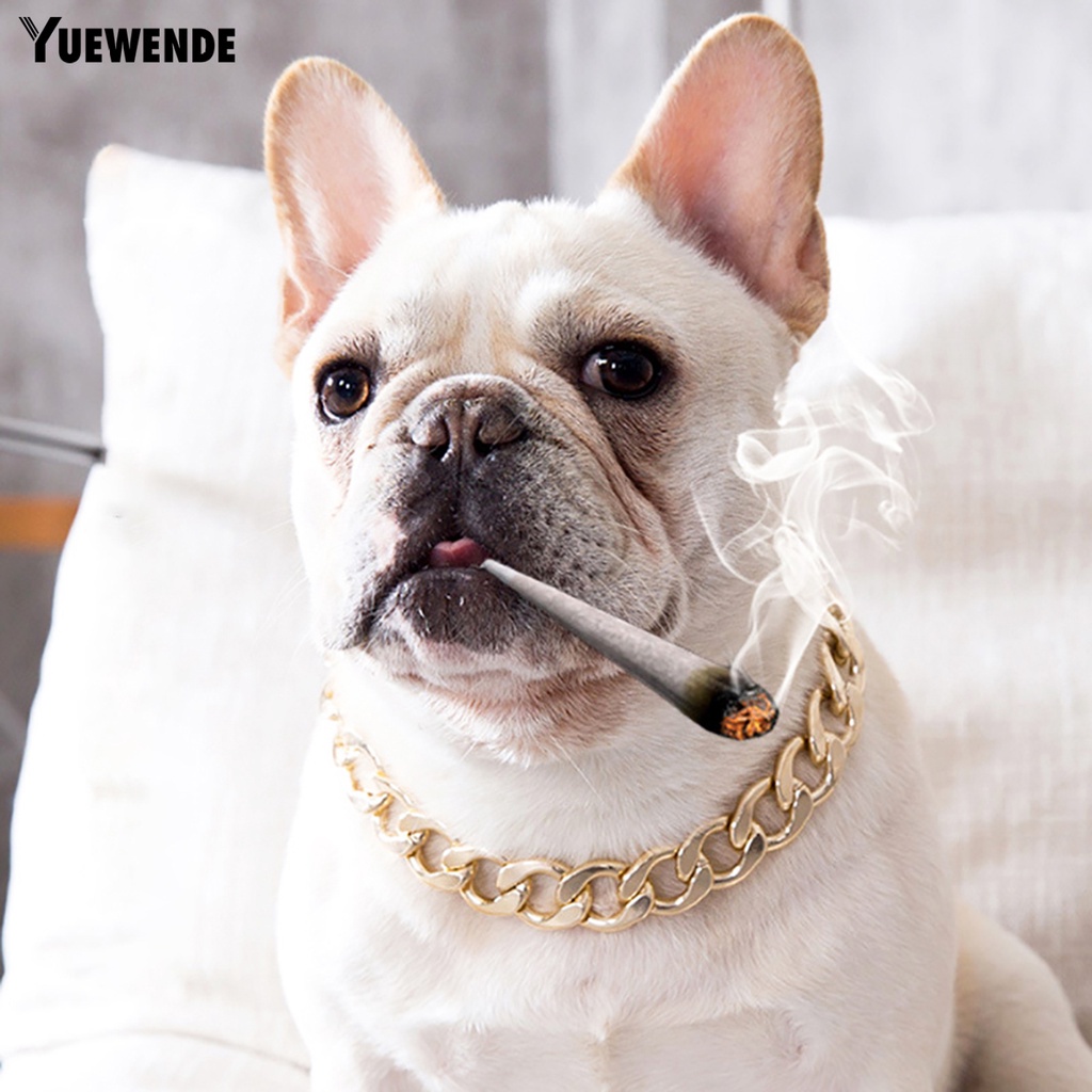 Vòng Cổ Thú Cưng Bằng Nhựa Thiết Kế Điều Chỉnh Được Tiện Dụng