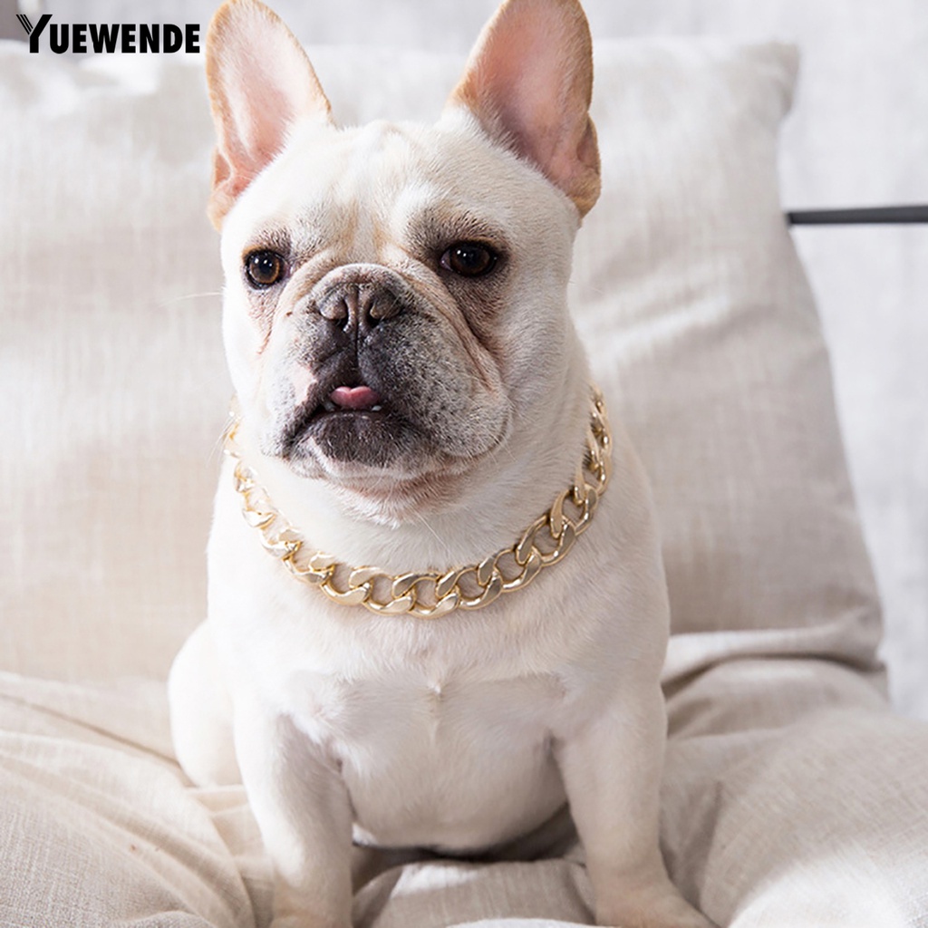 Vòng Cổ Thú Cưng Bằng Nhựa Thiết Kế Điều Chỉnh Được Tiện Dụng