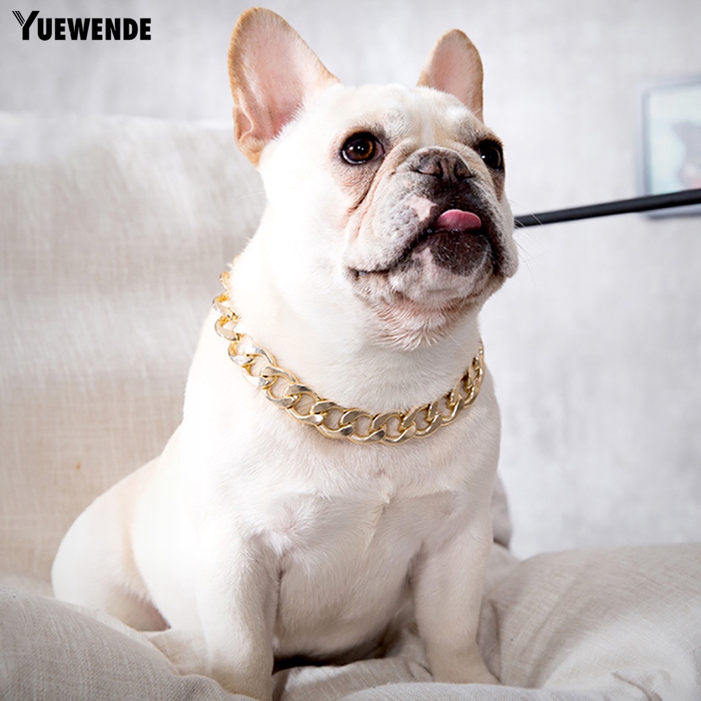 Vòng Cổ Thú Cưng Bằng Nhựa Thiết Kế Điều Chỉnh Được Tiện Dụng