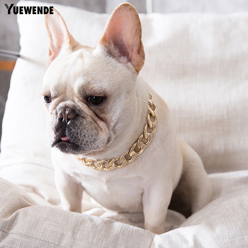 Vòng Cổ Thú Cưng Bằng Nhựa Thiết Kế Điều Chỉnh Được Tiện Dụng