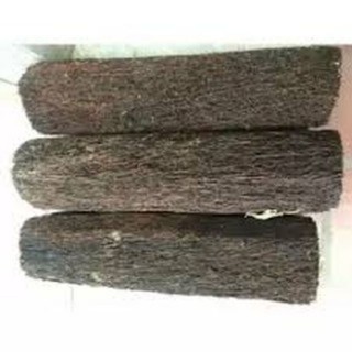 Dớn trụ trồng lan