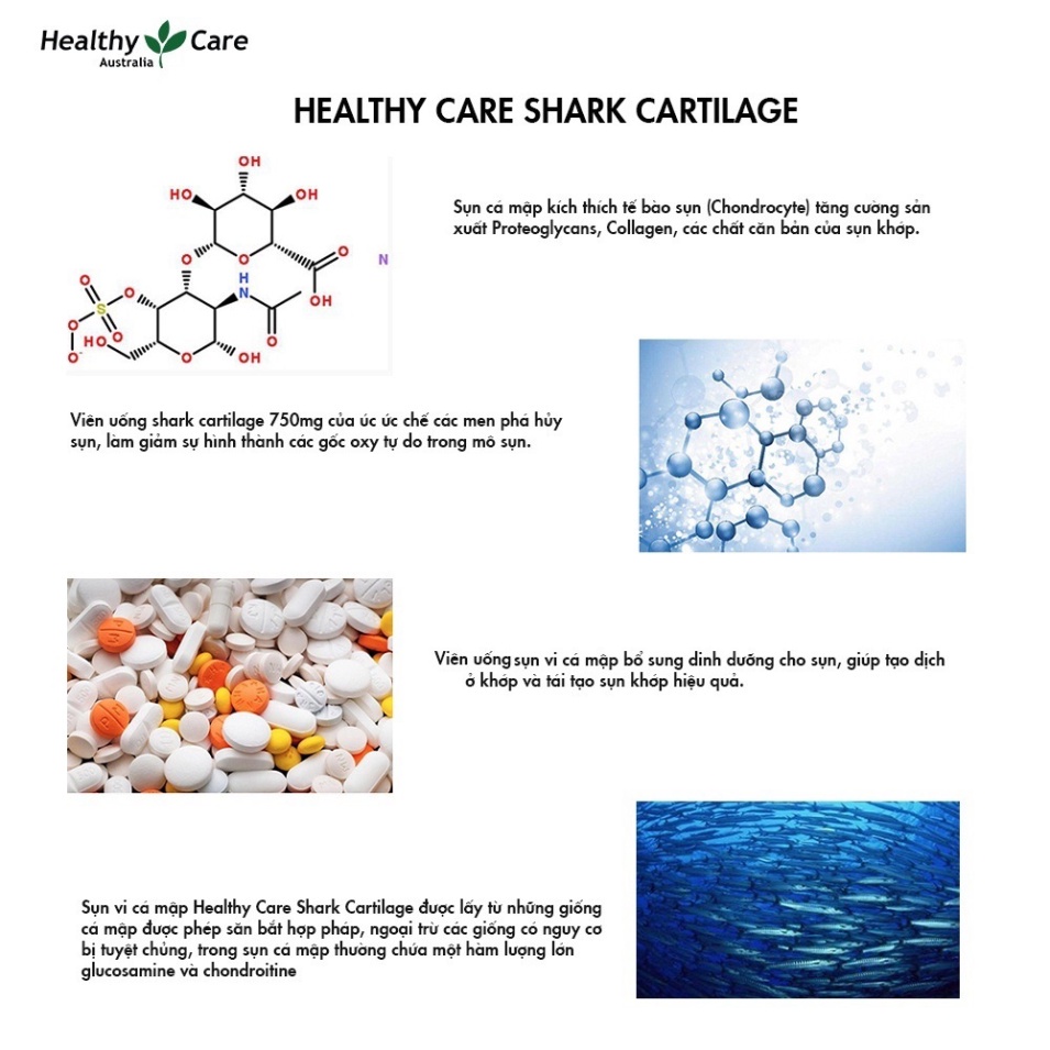 [FREESHIP] Viên uống sụn vi cá hỗ trợ xương khớp Shark Cartilage Healthy Care 750mg 200 viên của Úc