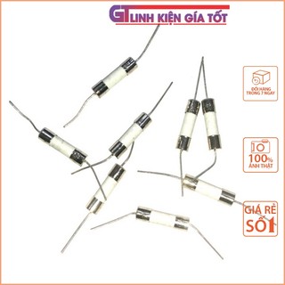 Cầu chì sứ 30a 250v 5x20mm, cầu chì cắm- chân hàn linh kiện bếp từ
