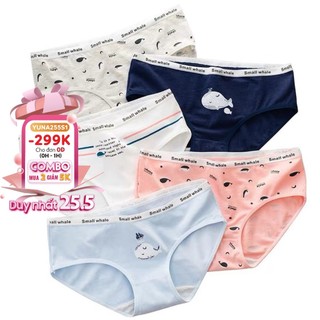 Quần lót cotton nữ in họa tiết cute siêu dễ thương, phụ kiện thời trang MAIKA